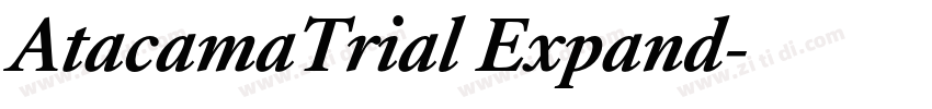 AtacamaTrial Expand字体转换